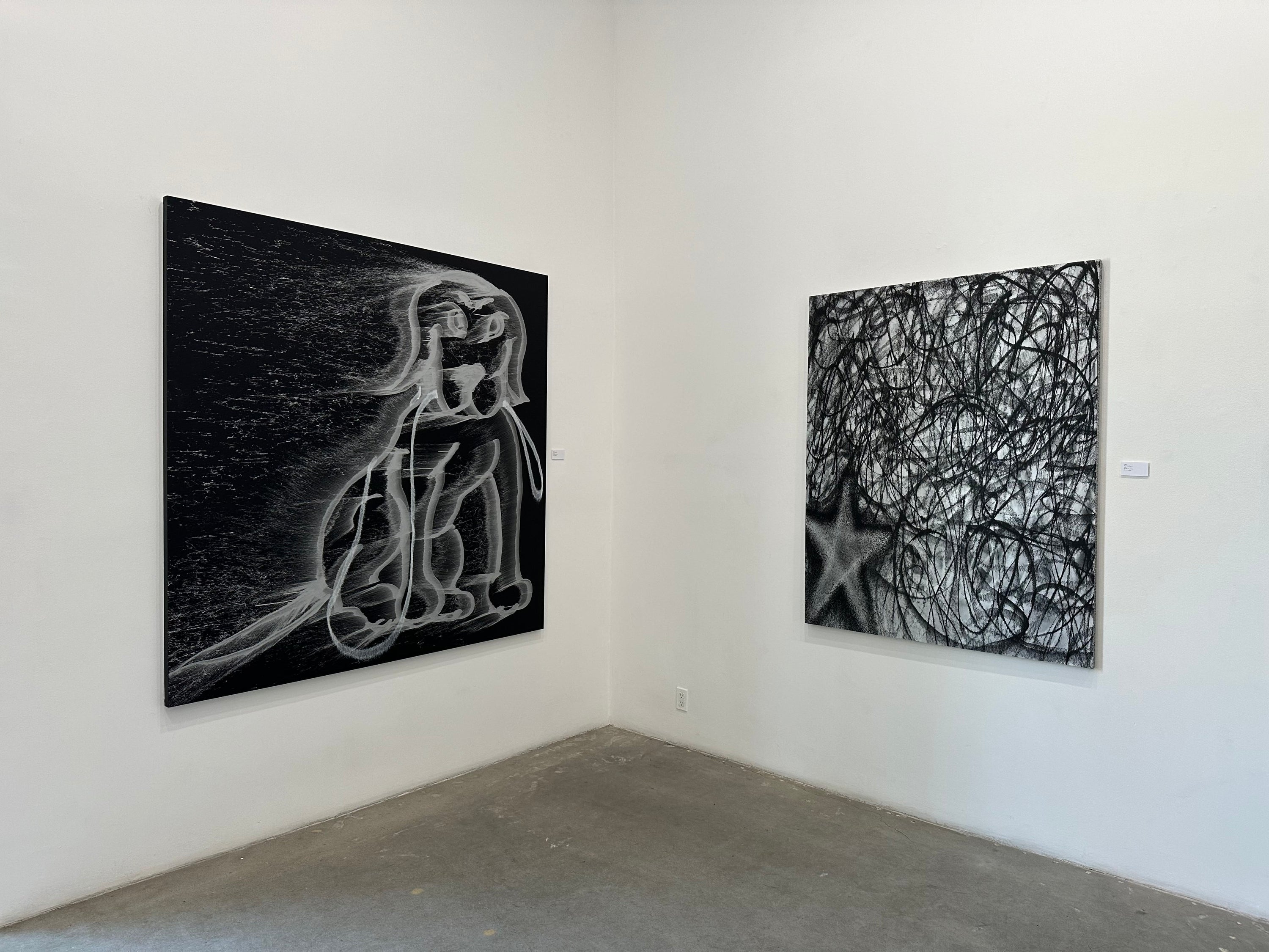 Gallery – chito.international